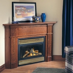 Direct Vent Gas Fireplace (BGD33) BGD33